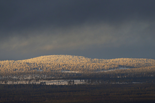 audifisalpineskiworldcupwomenslalomvunjphigew_l