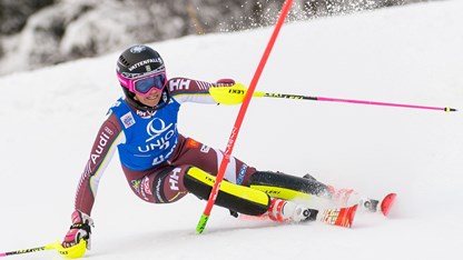 9e5f0644-3ea0-44fc-bb8b-87ce6cdfc8d9