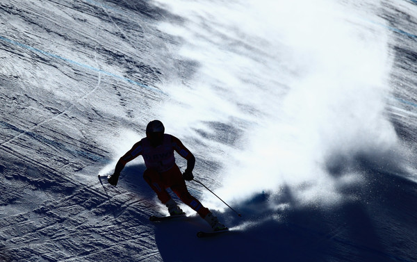 audibirdspreyworldcupdownhilljkjjhhnypawl