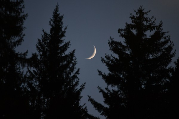 audifisalpineskiworldcupmenslalombh7t260rdaml